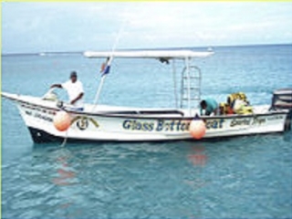 Lancha de visita guiada de snorkel